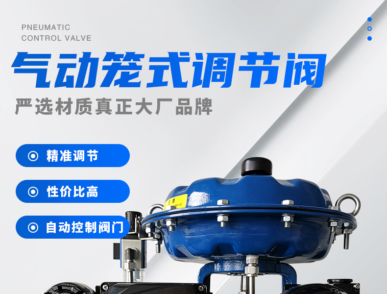 氣動籠式調節閥-首龍_01.jpg
